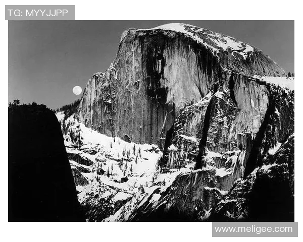 亚当斯的传奇人生与影响力探究:从历史到现代的深远启示 亚当斯的传奇人生与影响力探究:从历史到现代的深远启示