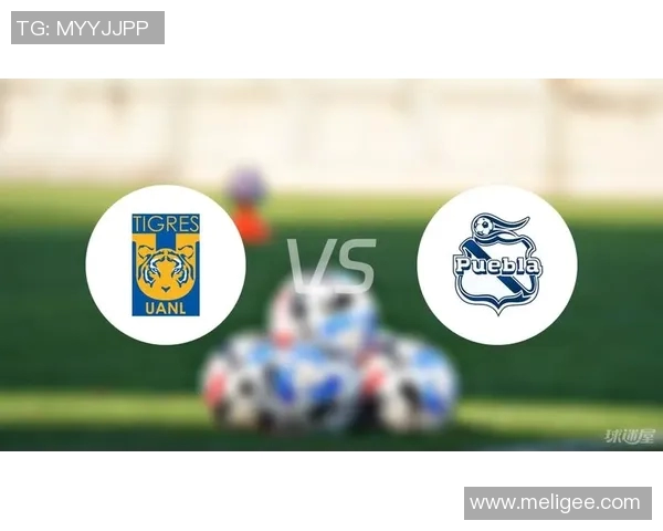 2017年墨美洲对阵老虎大学的精彩赛事回顾与分析