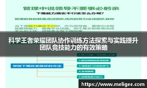 科学王者荣耀团队协作训练方法探索与实践提升团队竞技能力的有效策略