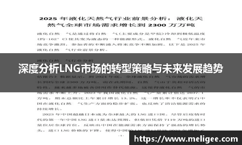 深度分析LNG市场的转型策略与未来发展趋势