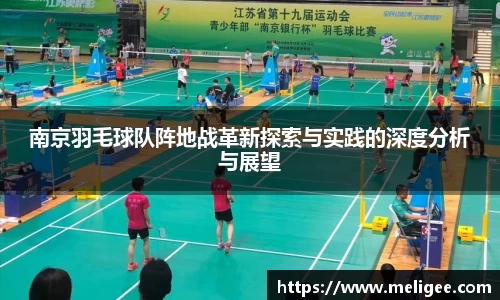 南京羽毛球队阵地战革新探索与实践的深度分析与展望