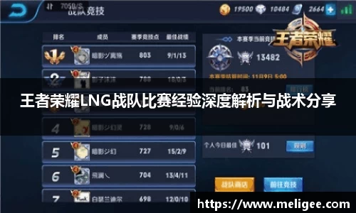 王者荣耀LNG战队比赛经验深度解析与战术分享