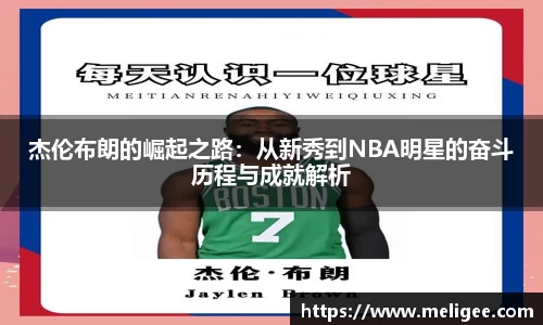 凤凰信誉联盟官方网站