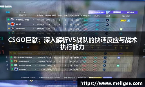 CSGO巨献：深入解析V5战队的快速反应与战术执行能力