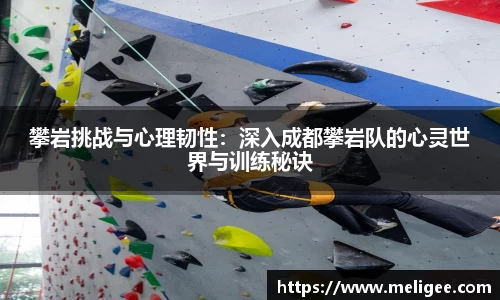 凤凰联盟官网入口